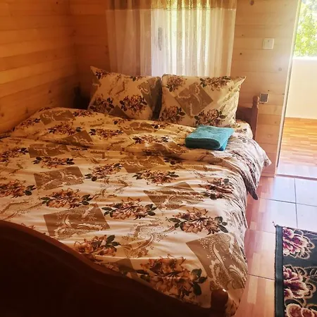 Guest Hause Artani Affittacamere *