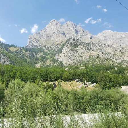 Guest Hause Artani Valbona